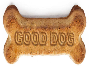 All kinds of mold production of dog biscuits